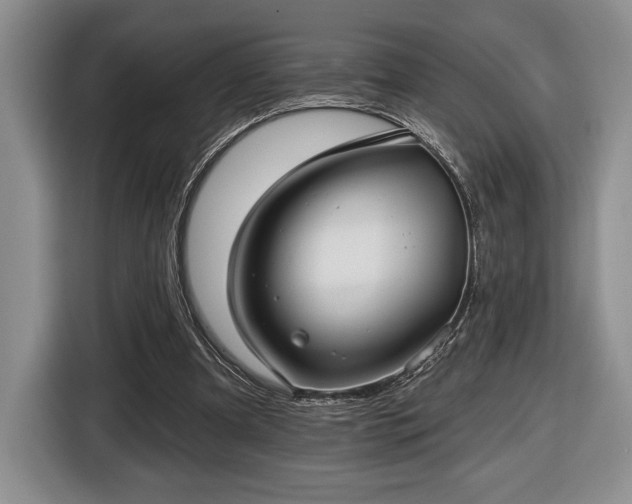 X0000116430297200912151024