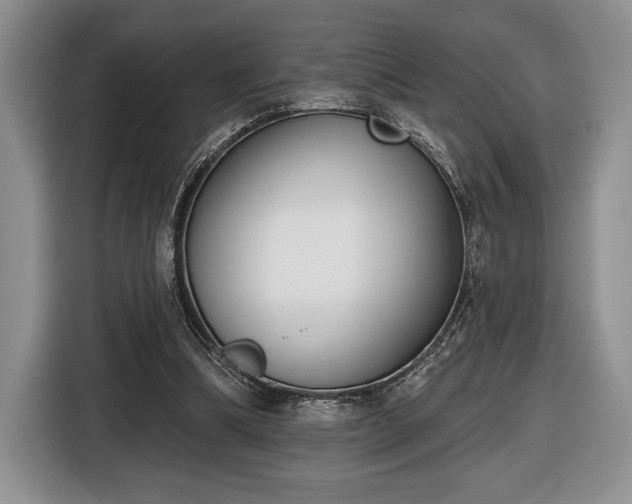 X0000116430298200912151024