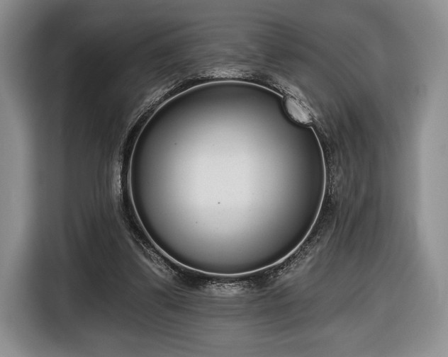 X0000116430299200912151024