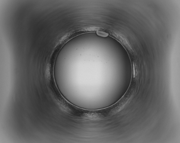 X0000116430300200912151024