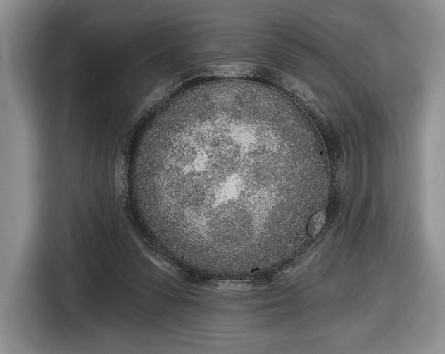 X0000116430303200912151023