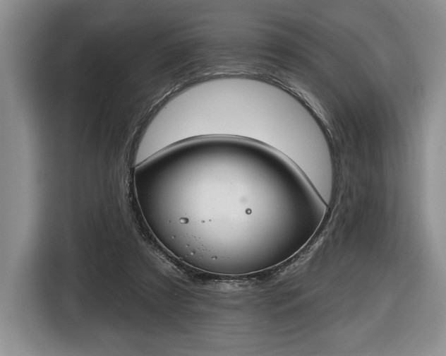 X0000116430305200912151023