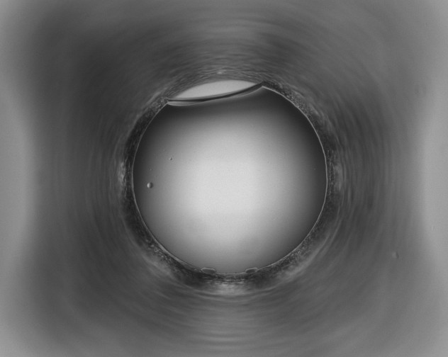 X0000116430308200912151023