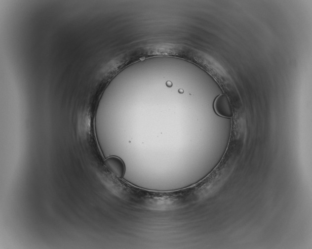 X0000116430310200912151023