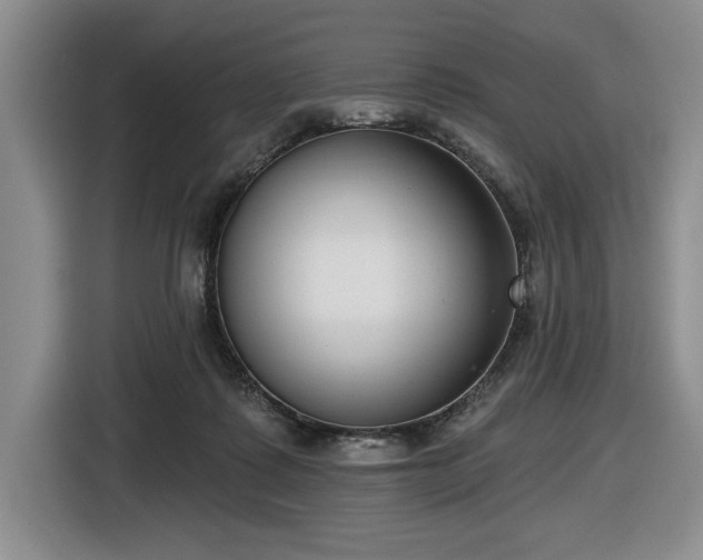 X0000116430315200912151023