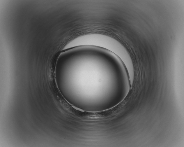 X0000116430316200912151023