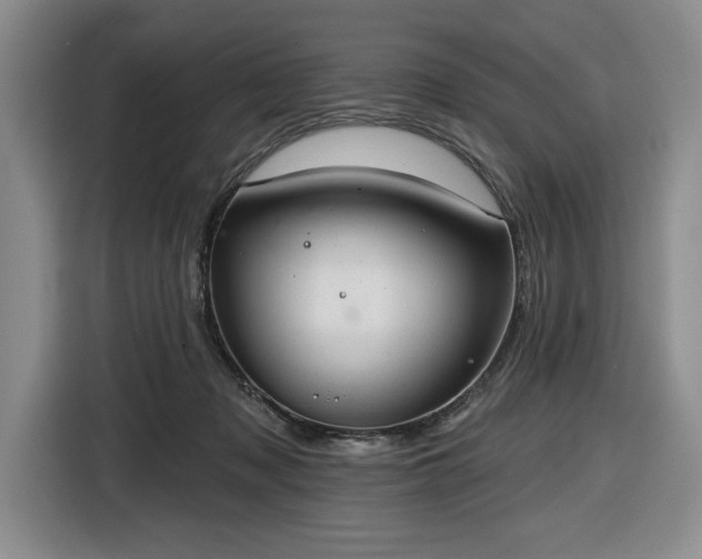 X0000116430317200912151023