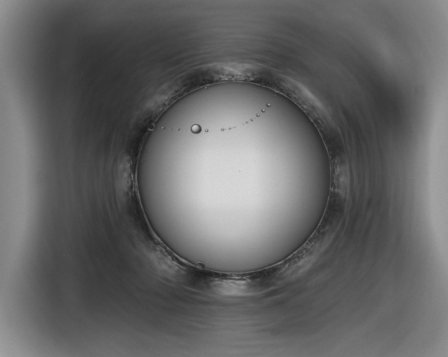 X0000116430318200912151023