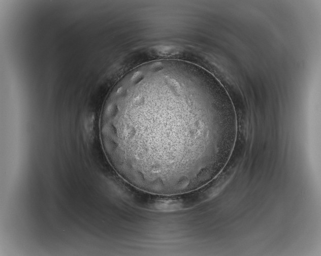 X0000116430319200912151023