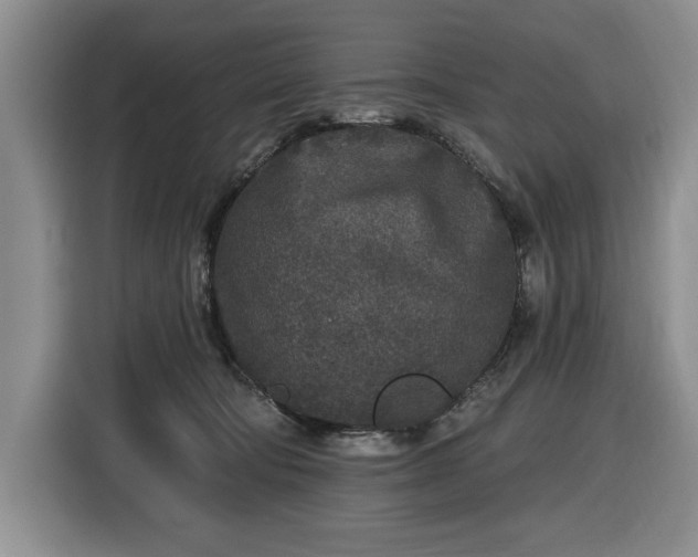 X0000116430322200912151023