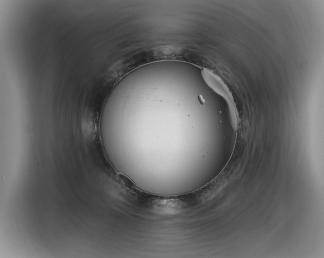 X0000116430324200912151023