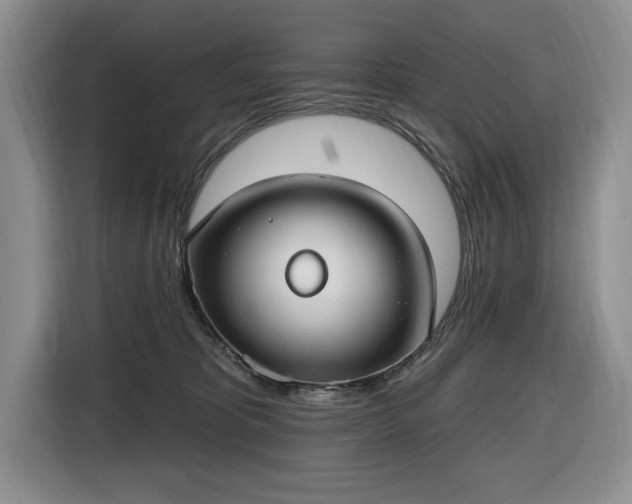 X0000116430325200912151023
