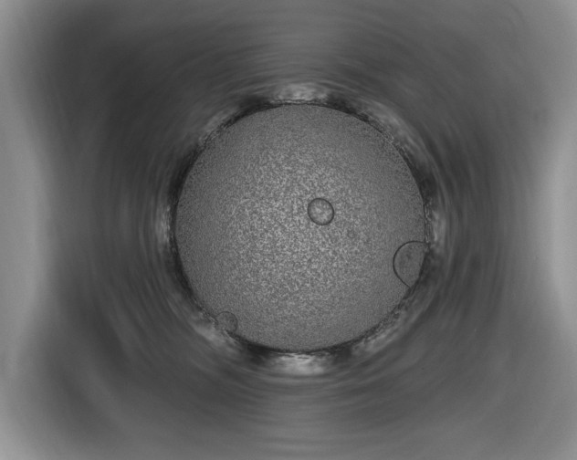 X0000116430326200912151023