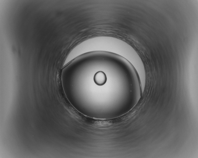 X0000116430327200912151023