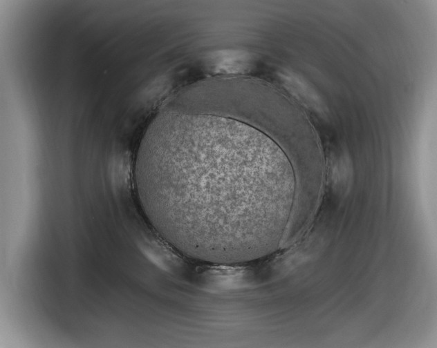 X0000116430328200912151023