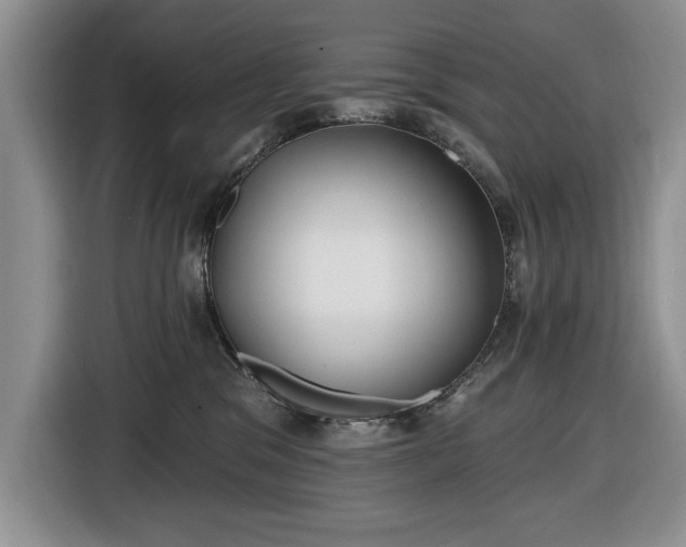 X0000116430329200912151023
