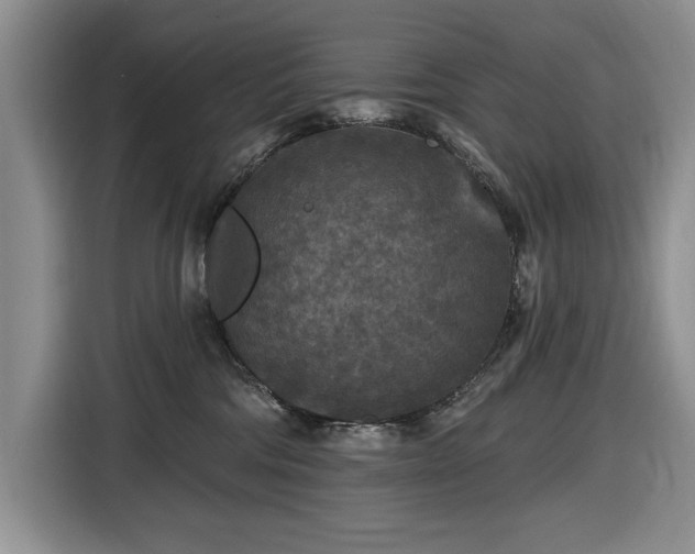 X0000116430330200912151023