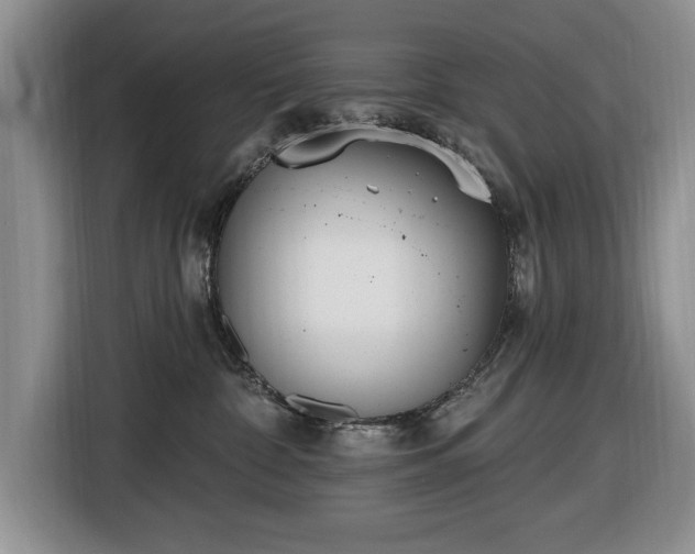 X0000116430332200912151023