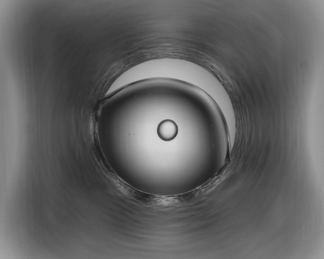 X0000116430333200912151023
