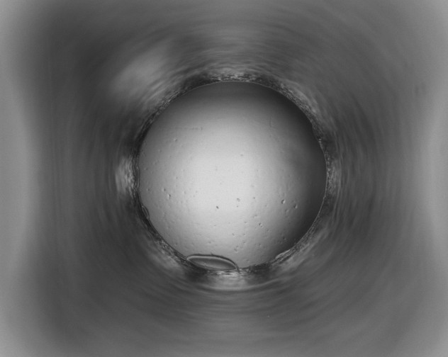 X0000116430335200912151023