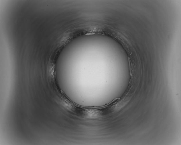 X0000116430336200912151023