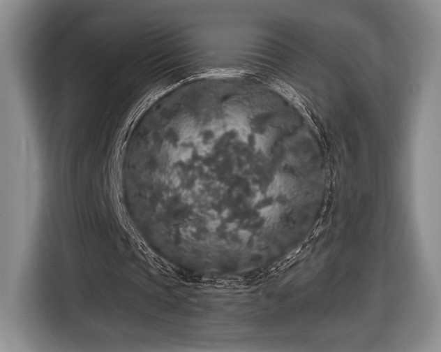 X0000116430337200912151022
