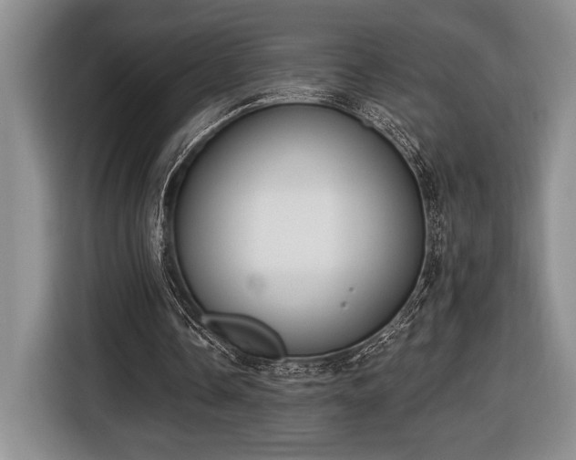 X0000116430338200912151022