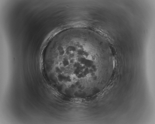 X0000116430339200912151022