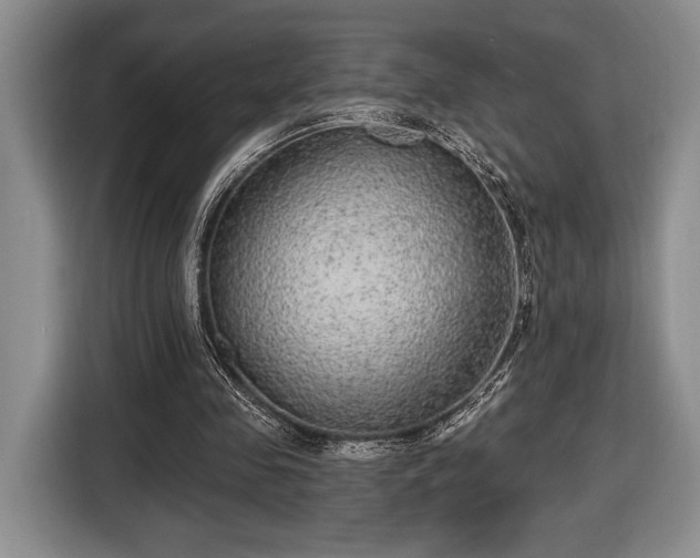 X0000116430341200912151022