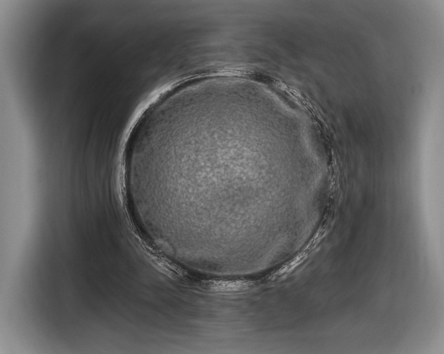 X0000116430342200912151022