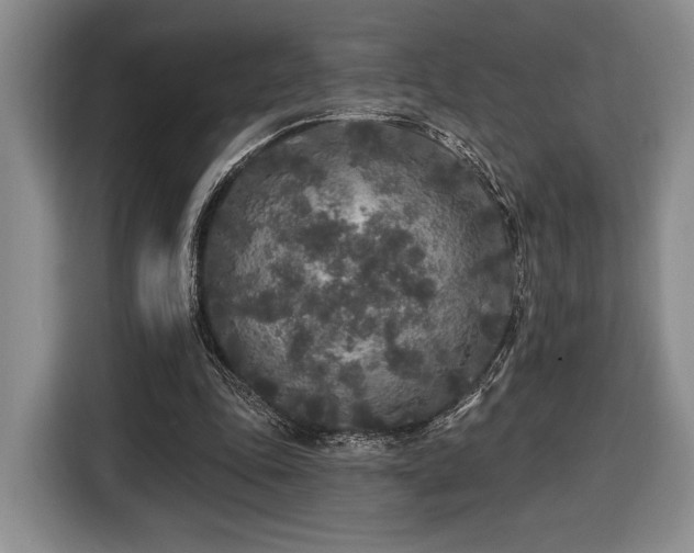 X0000116430343200912151022