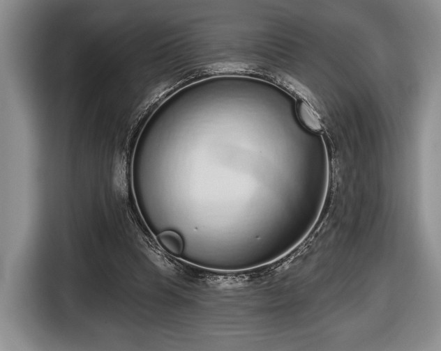 X0000116430345200912151023