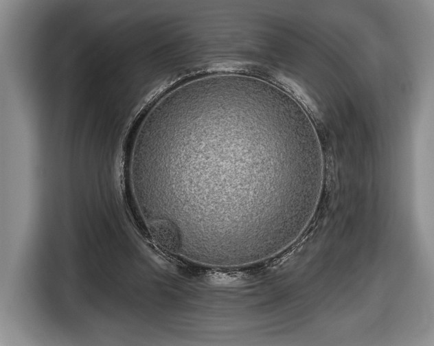 X0000116430346200912151023