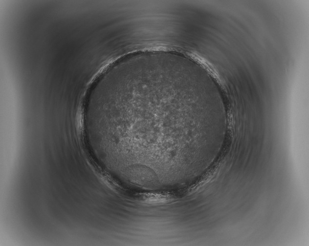 X0000116430347200912151023