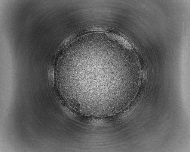X0000116430349200912151023