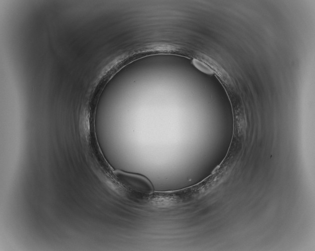 X0000116430350200912151023