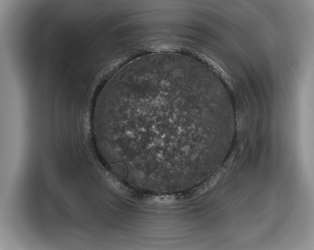 X0000116430353200912151023