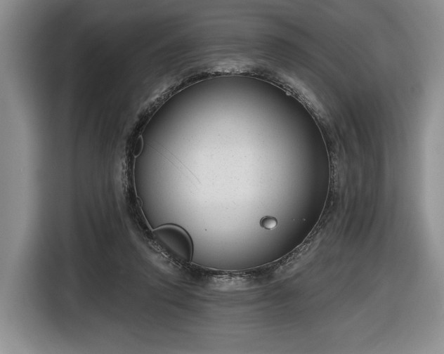 X0000116430354200912151023