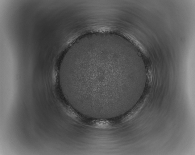X0000116430355200912151023