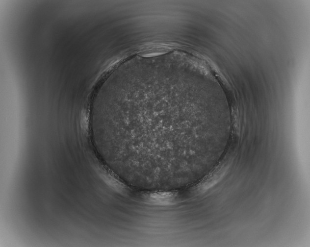 X0000116430357200912151023