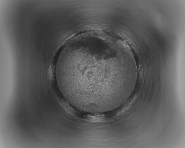 X0000116430359200912151023