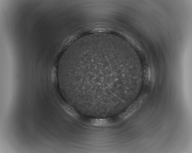 X0000116430361200912151023