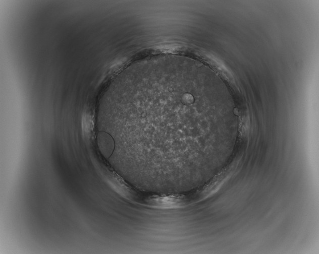 X0000116430365200912151023
