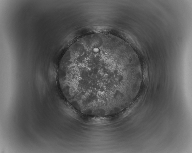 X0000116430367200912151023