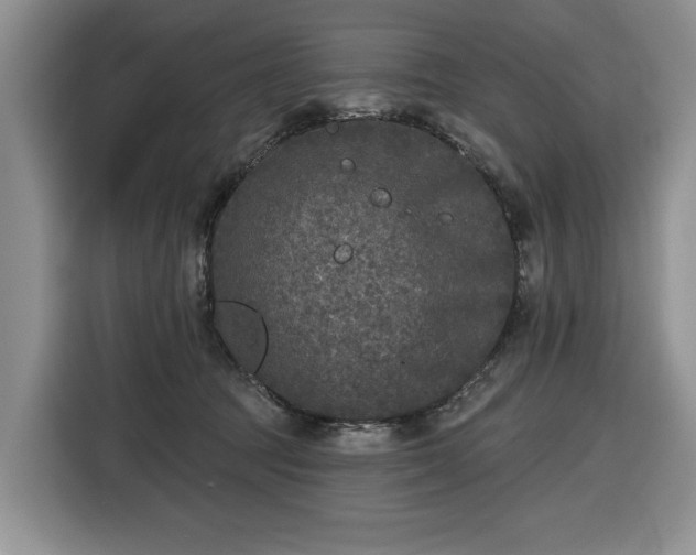 X0000116430369200912151023
