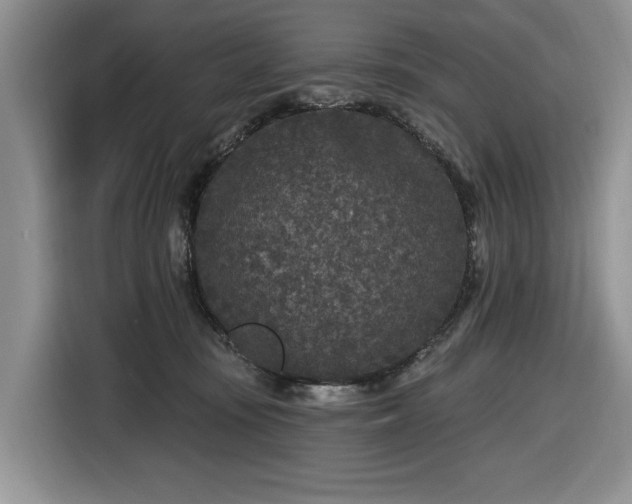 X0000116430371200912151023