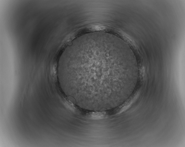 X0000116430373200912151023