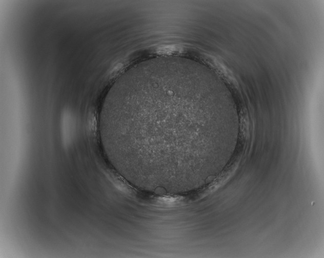 X0000116430375200912151023