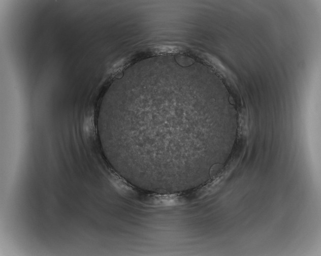 X0000116430377200912151023