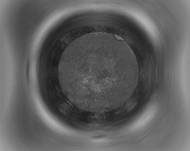 X0000116430383200912151023